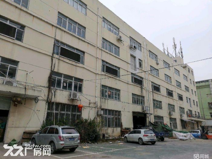 文昌路8400方 两栋 一楼店面 位置好 宜各行业需要-图2