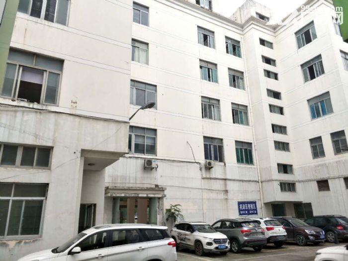 温州大道3037方 沿街展厅 可分租 宜办公 电商 行业-图3