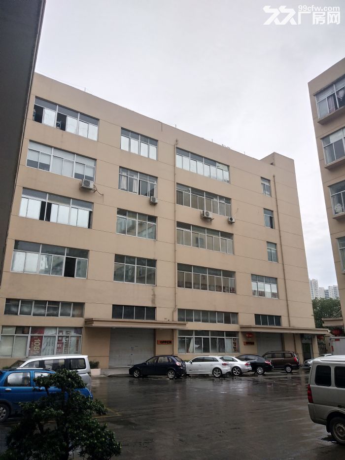 炬光园标准厂房3000平方，整栋出租-图1