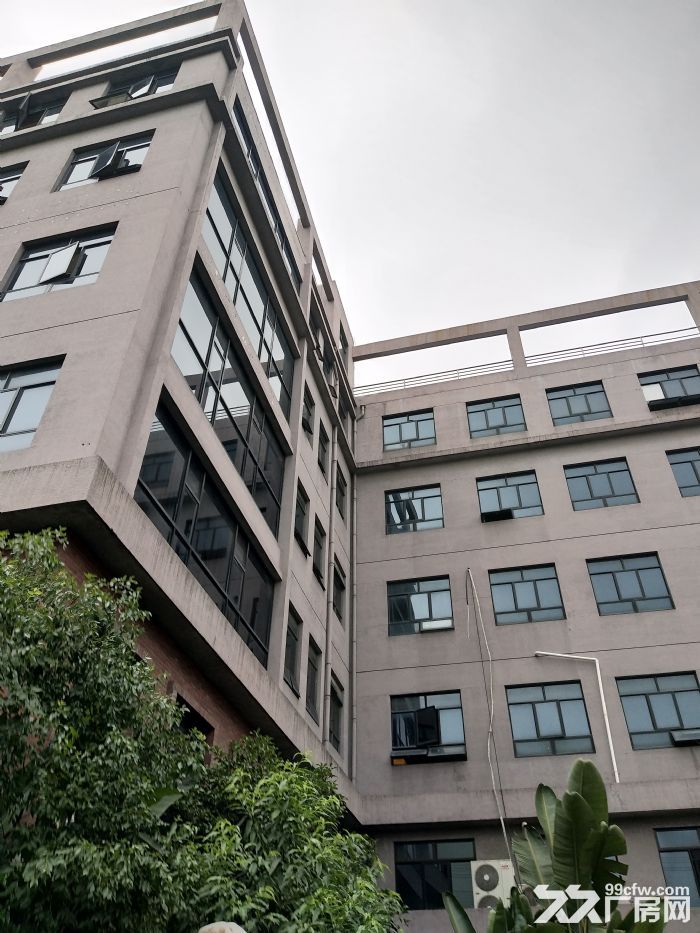 炬光园标准厂房3000平方，整栋出租-图2