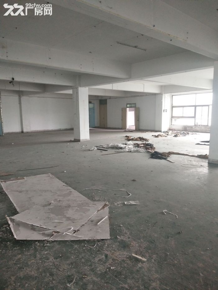 炬光园1600平方，已腾空，适合轻工行业。-图2