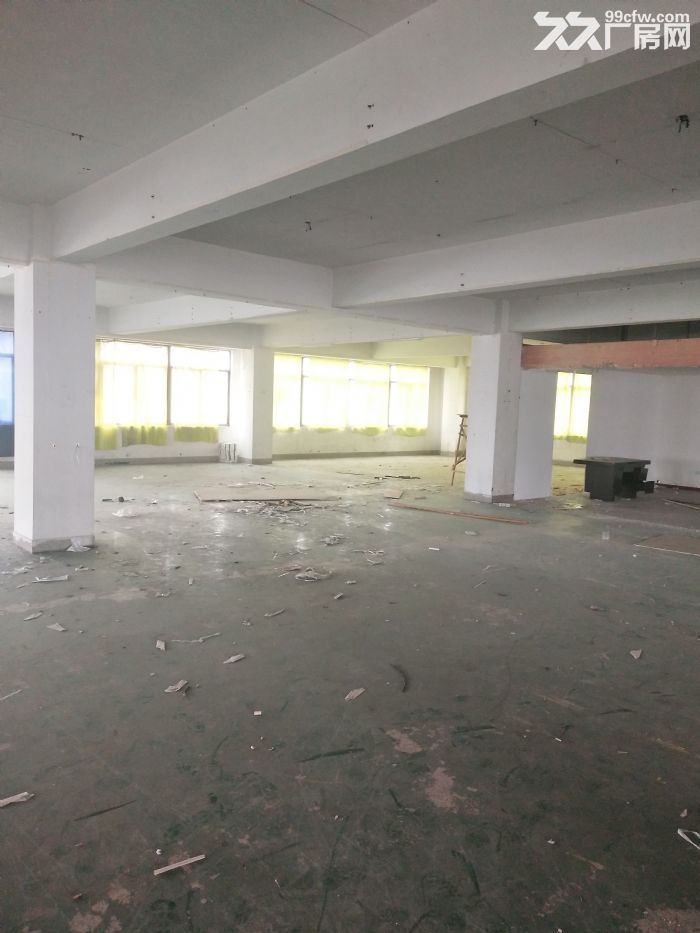 炬光园1600平方，已腾空，适合轻工行业。-图1