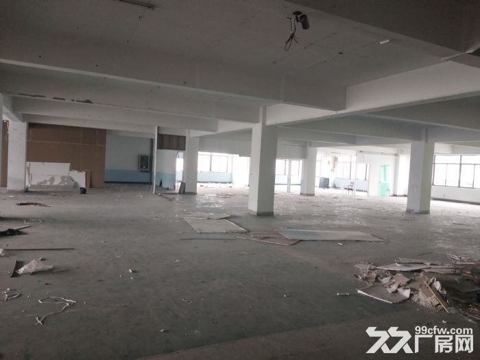 炬光园1600平方，已腾空，适合轻工行业。-图3