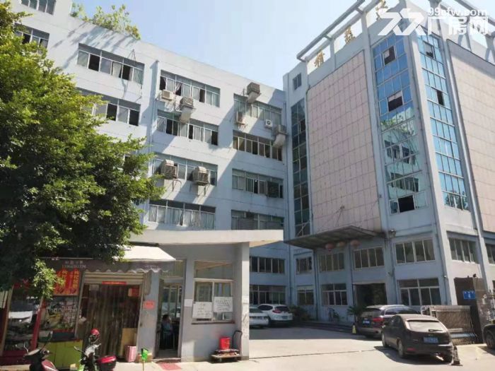 炬光园 3楼一个层面1500平方，货梯2吨-图1