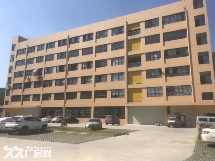 金竹工业区 1−5层8000平方，独门独院-图1