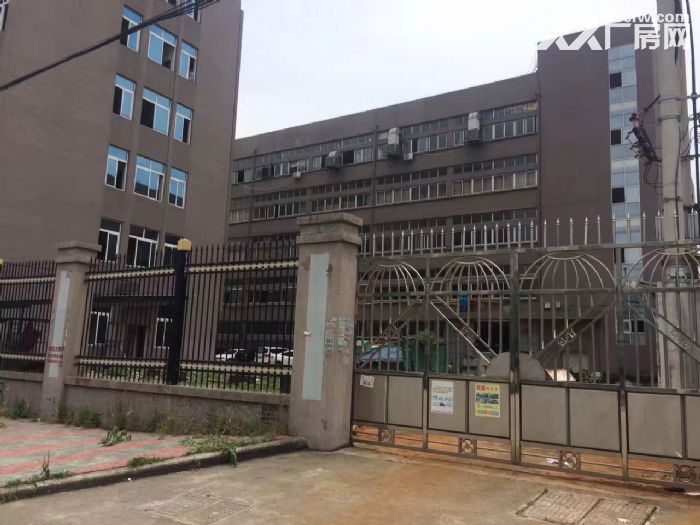 藤桥轻工园区 1楼600平方，2楼1500平方-图1