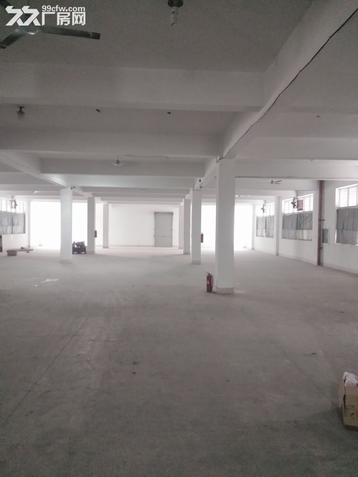 炬光园标准厂房1175平方，适合仓库，电商-图2