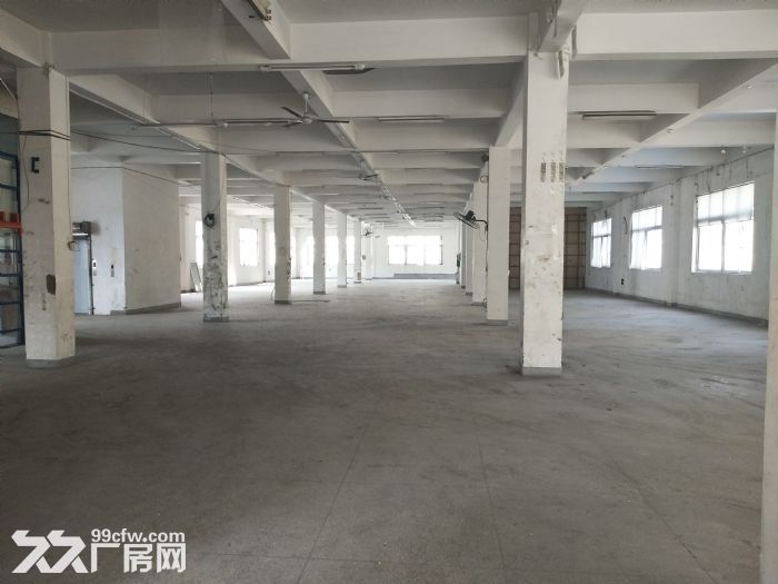 炬光园标准厂房1700平方 马上可用-图1