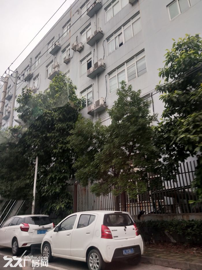 炬光园标准厂房300平方，适合仓库-图1