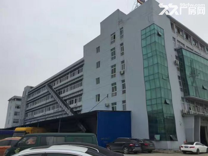 泽雅工业区 一楼1500平方，层高6米-图1