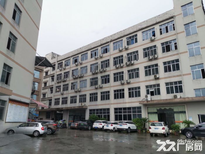 梧田工业区 一楼2400平方，层高5米-图1