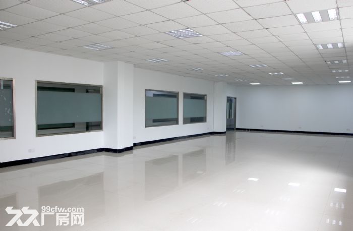 新北拨云科技园30−800平 新桥 北站-图1