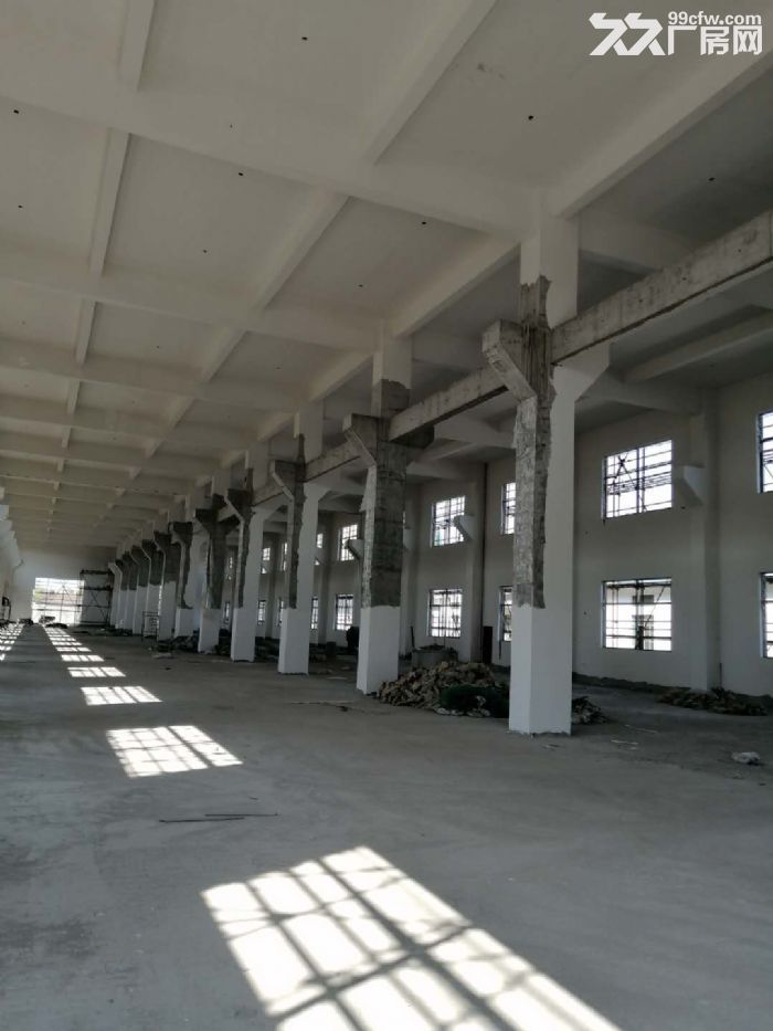 钟管龙山路，全新厂房出租4466方，共两层报价20-图2