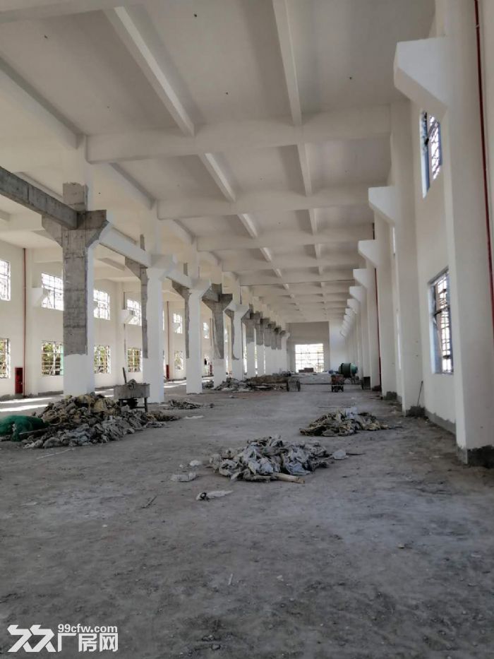 钟管龙山路，全新厂房出租4466方，共两层报价20-图3