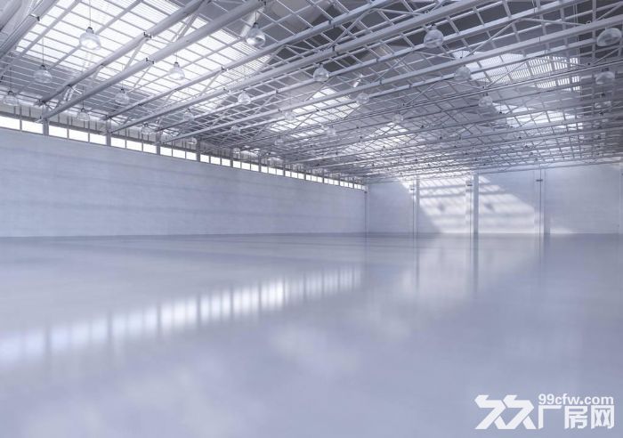 出租乾元750方单层钢结构厂房，可以架行车，高8米，价格22元-图2