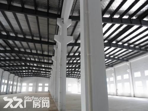 德清钟管南舍独门独院4500方厂房带10亩空地出租-图5