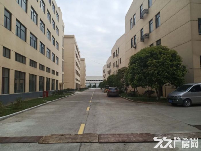 德清市新市工业区大型厂房出租-图1