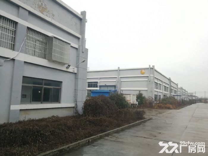 迎宾大道5号 2000平起租 东台开发区门面道路-图6