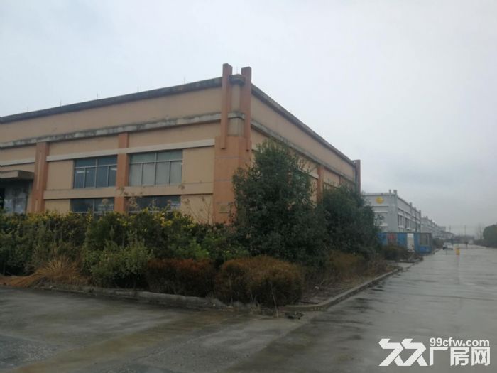 迎宾大道5号 2000平起租 东台开发区门面道路-图4