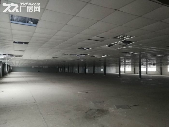 迎宾大道5号 2000平起租 东台开发区门面道路-图3