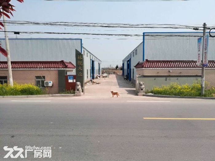 盐城射阳新坍镇全新钢结构厂房出租-图1