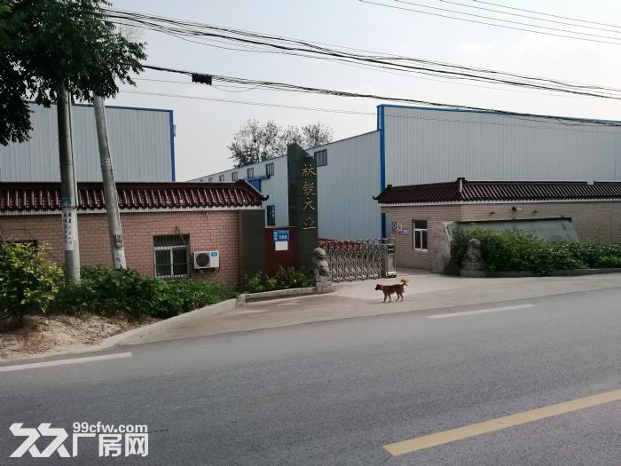 盐城射阳新坍镇全新钢结构厂房出租-图6