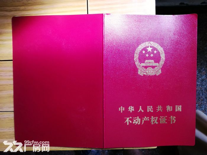 盐城射阳新坍镇全新钢结构厂房出租-图5