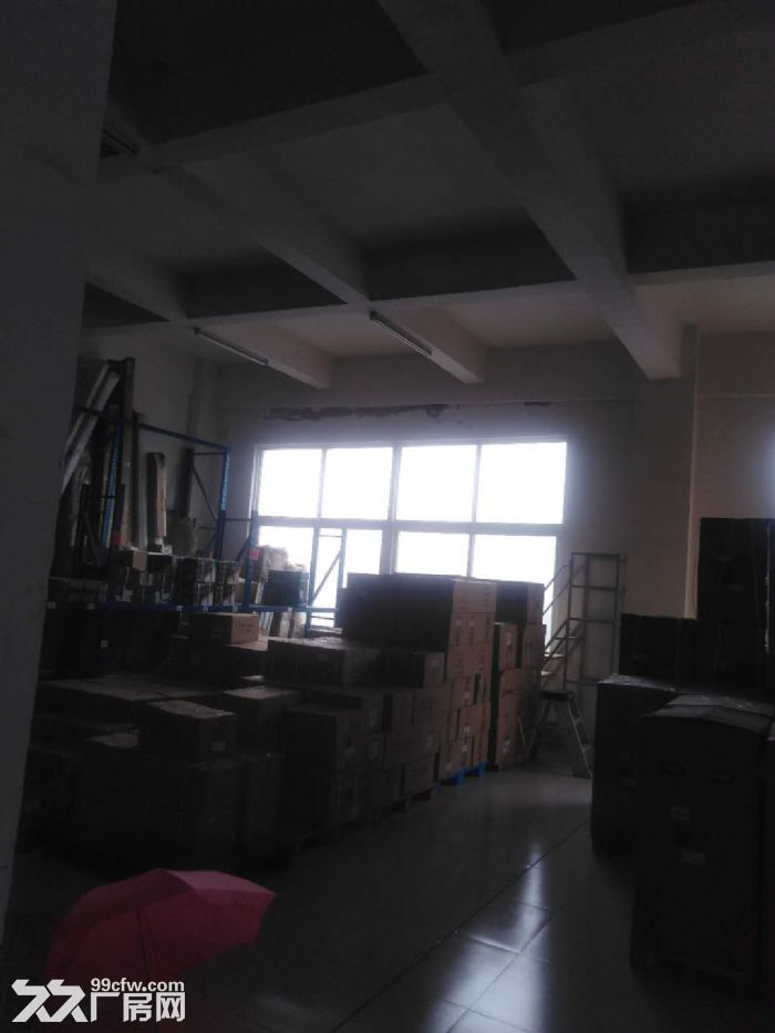 食品工业园内厂房出租1300平-图1