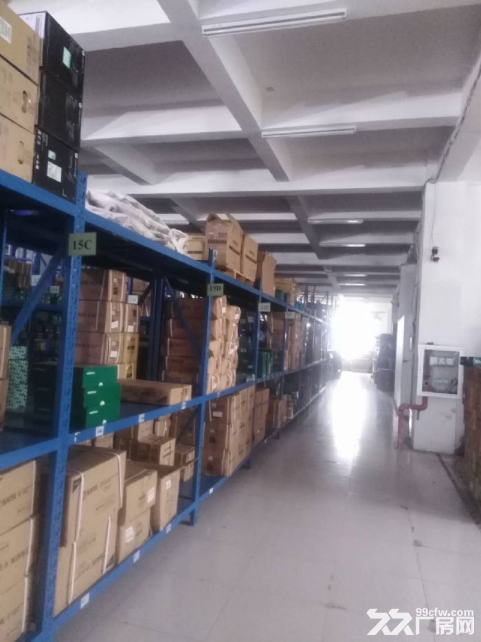 食品工业园内厂房出租1300平-图2