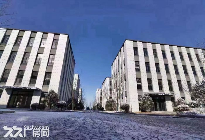 镇江大港新区全新产业园厂房出售 50年产权 可按揭 年底交付-图2