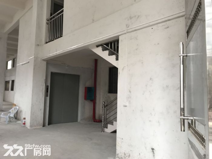 全新凤新街道绿榕西路5层300平每层 带三相电 2吨电梯 可拆租-图3