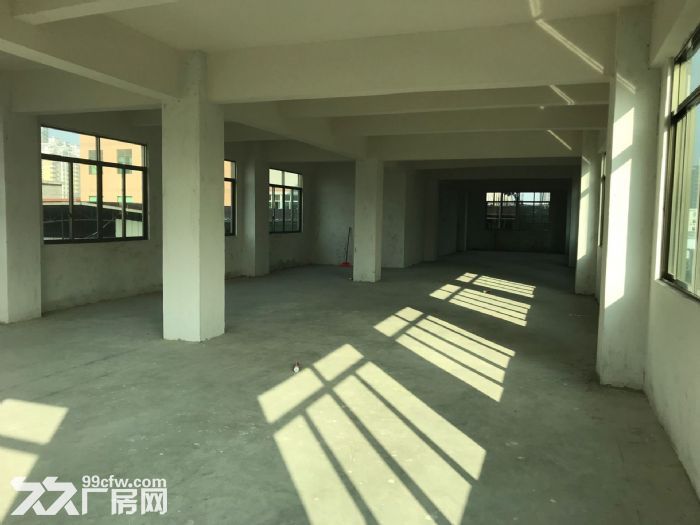 全新凤新街道绿榕西路5层300平每层 带三相电 2吨电梯 可拆租-图5