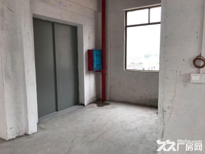 全新凤新街道绿榕西路5层300平每层 带三相电 2吨电梯 可拆租-图7