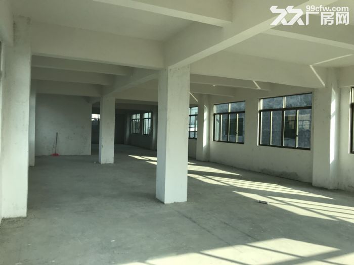 全新凤新街道绿榕西路5层300平每层 带三相电 2吨电梯 可拆租-图6