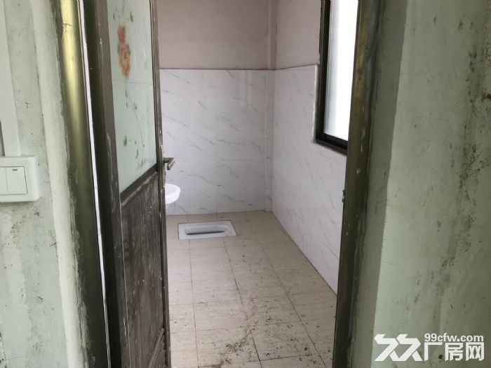 全新凤新街道绿榕西路5层300平每层 带三相电 2吨电梯 可拆租-图8