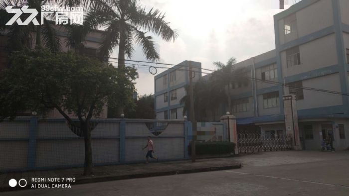 3层6600平原房东花园式独门独院厂房出租-图3