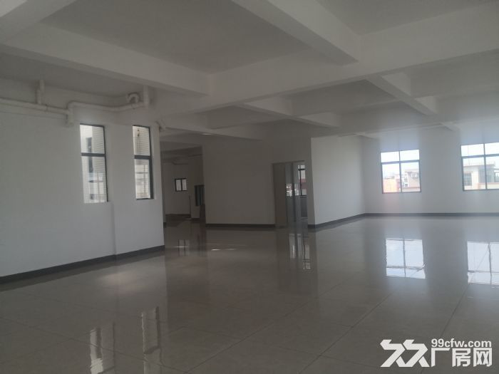 标准厂房3000平方出租-图2