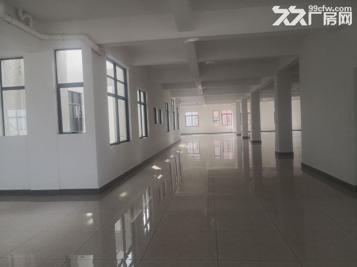 标准厂房3000平方出租-图1