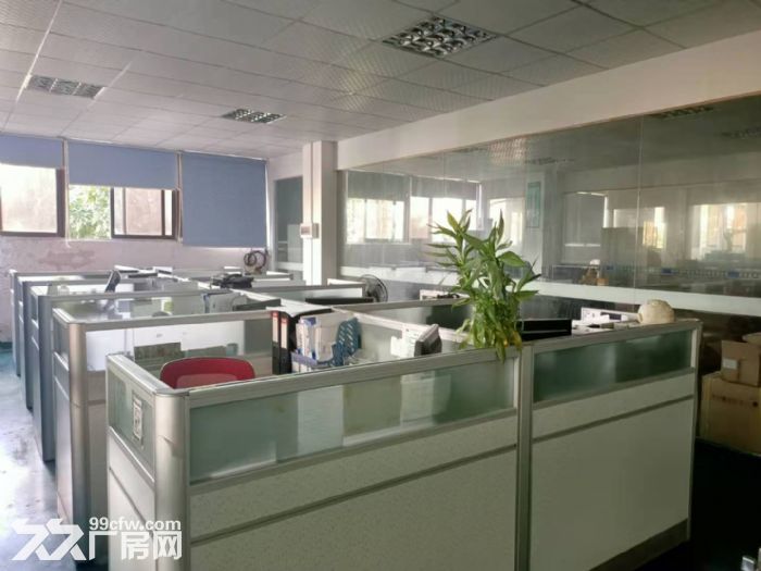 凤岗凤德岭楼上厂房出租1400平 自动化设备 五金加工 毛刷-图2