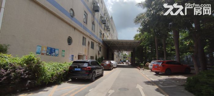 主干道旁，凤岗雁田楼上整层1600平方厂房出租 周边好招工-图1