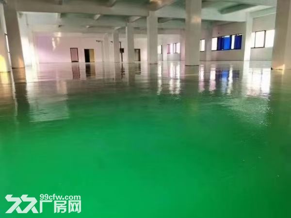 塘厦大坪高速附近独院厂房出租4650平刷好地坪漆（可做电池）-图4