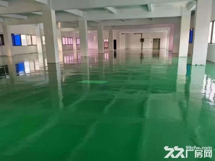 塘厦大坪高速附近独院厂房出租4650平刷好地坪漆（可做电池）-图3