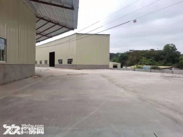 滴水9.5米 塘厦一楼钢构厂房出租15000平 可以分租-图1