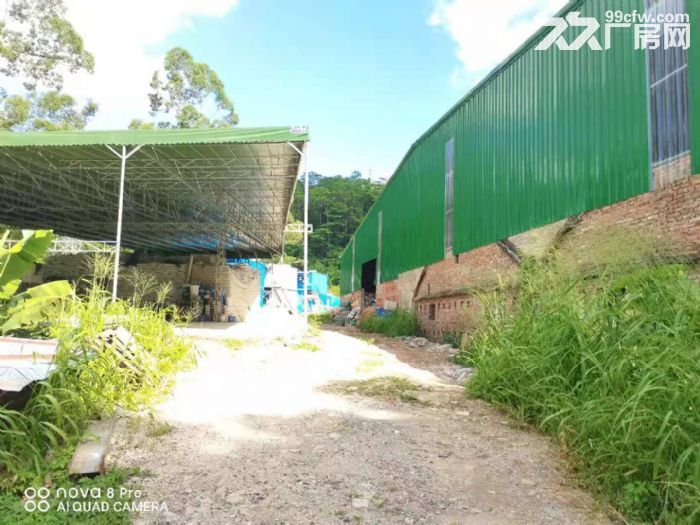 竹尾田单一层钢构厂房出租2200平 适合抽粒破碎废品回收-图2