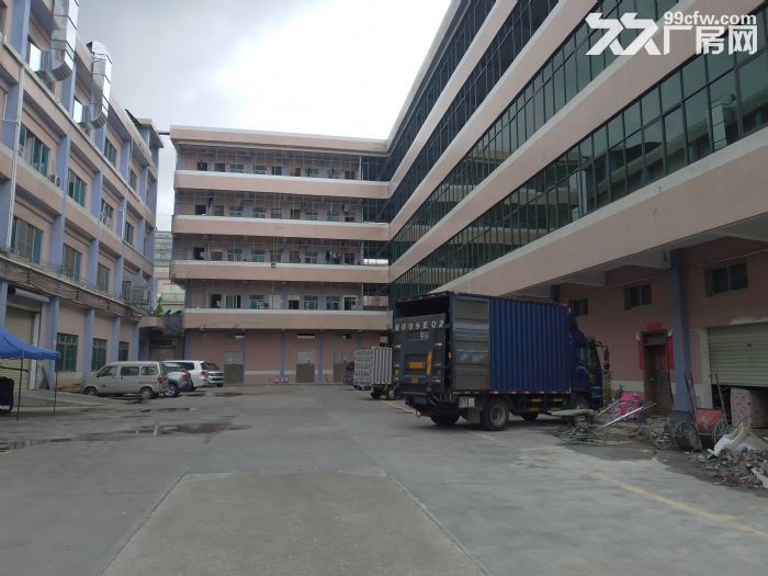 原房东独门独院总面积4800平方-图1