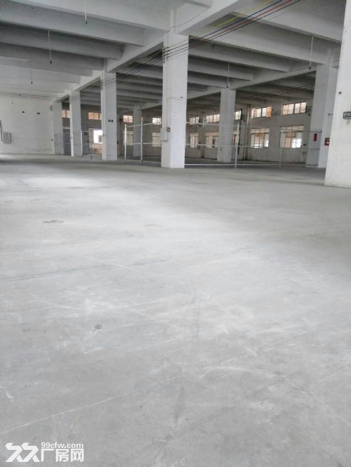 万江标准厂房分租一楼1800平方形象好急租-图2