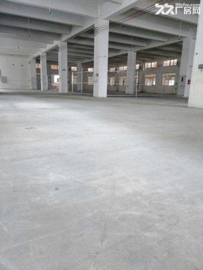 望牛墩标准厂房分租一楼 1200平方, 车间水电齐全,光线好-图2