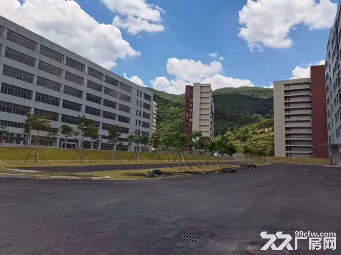 带卸货平台 丙二类消防，凤岗全新独院厂房出租 电商仓库4万平-图1