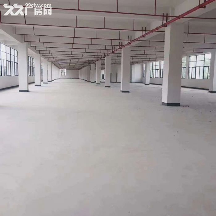 带卸货平台 丙二类消防，凤岗全新独院厂房出租 电商仓库4万平-图2