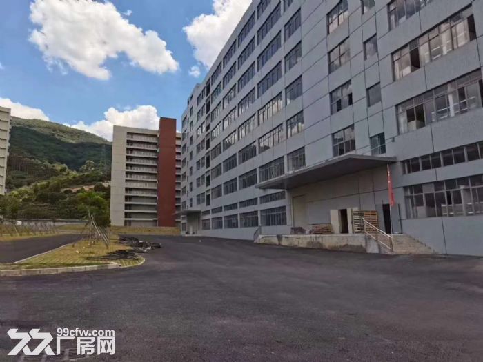 带卸货平台 丙二类消防，凤岗全新独院厂房出租 电商仓库4万平-图3